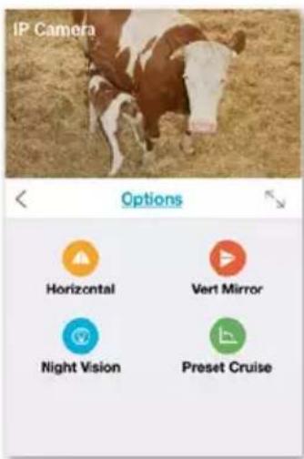 IP Camera Options Horizontal Vert Mirror Night Vision Preset Cruise