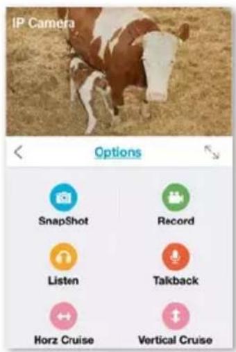 IP Camera Options SnapShot Record Listen Talkback Horz Cruise Vertical Cruise