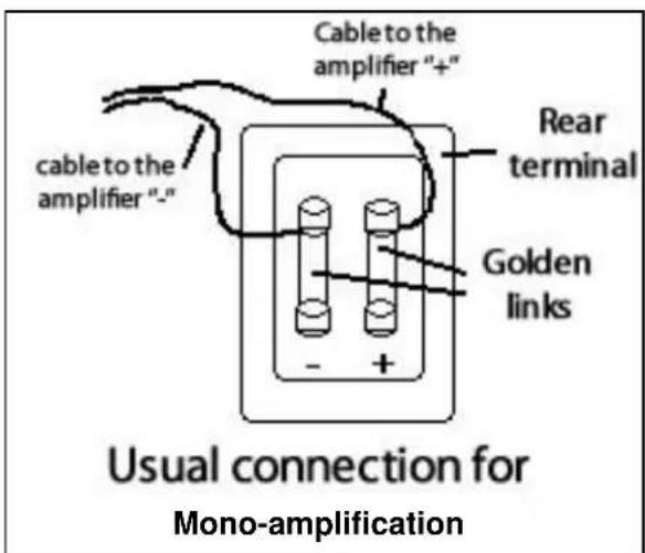 DAVIS Hera 150 - Dual Terminals for Bi-amping and bi-wiring: - 1