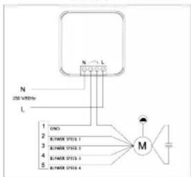 Protector AS-6030 - 10