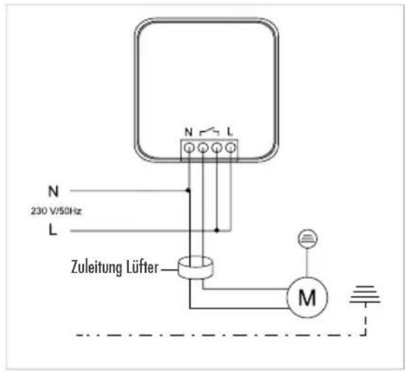 Protector AS-6030.3 V2 - GB - 3