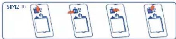 SIM2 (1)