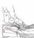 eufy RoboVac L35 Hybrid+ - Nettoyage de la brosse cylindrique - 2