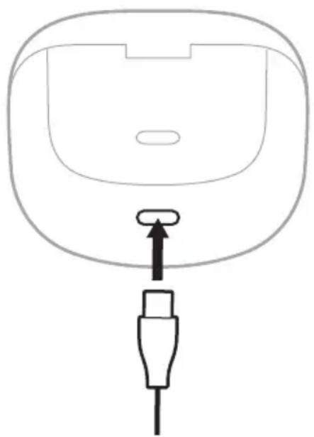 BOSE QuietComfort Ultra Earbuds - CARICARE LA CUSTODIA - 1