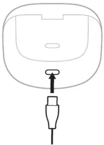 BOSE QuietComfort Ultra Earbuds - CARGAR EL ESTUCHE DE CARGA - 1