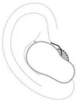 BOSE QuietComfort Ultra Earbuds - 耳塞头 - 1