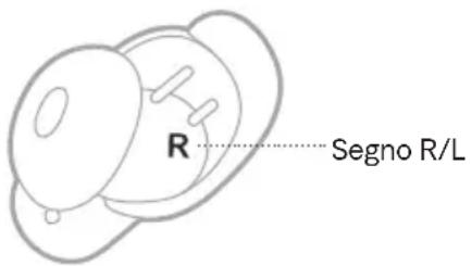 BOSE QuietComfort Ultra Earbuds - INSERIRE GLI AURICOLARI - 1