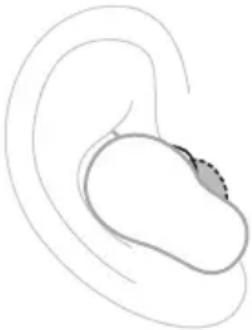 BOSE QuietComfort Ultra Earbuds - Puntas - 2