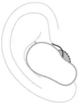 BOSE QuietComfort Ultra Earbuds - Ohreinsätze - 1