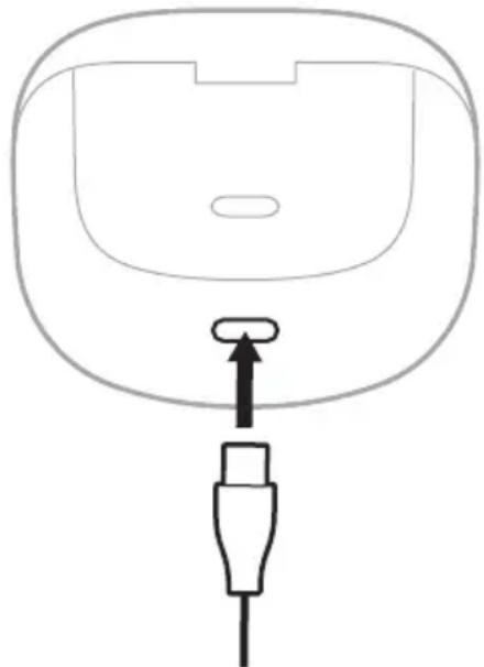 BOSE QuietComfort Ultra Earbuds - LADE LADEETUIET - 1