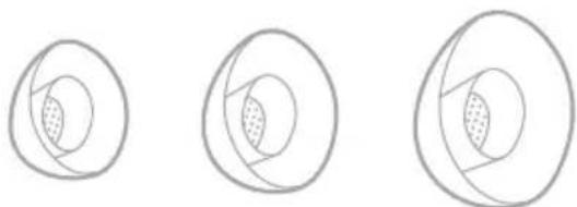 BOSE QuietComfort Ultra Earbuds - 耳塞头 - 1