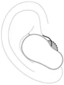 BOSE QuietComfort Ultra Earbuds - Fülbetétek - 1