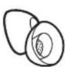 BOSE QuietComfort Ultra Earbuds - HINWEISE: - 4