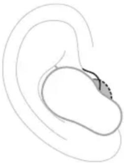 BOSE QuietComfort Ultra Earbuds - Puntas - 1
