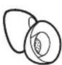 BOSE QuietComfort Ultra Earbuds - CONTENTS - 4
