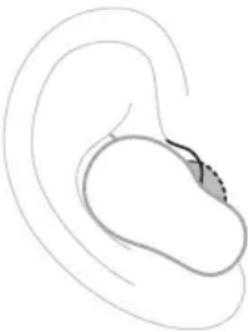 BOSE QuietComfort Ultra Headphones - Ohreinsätze - 1