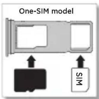 One-SIM model WIS