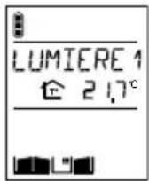 HAGER LDG01X - Combiné Récepteur - 4