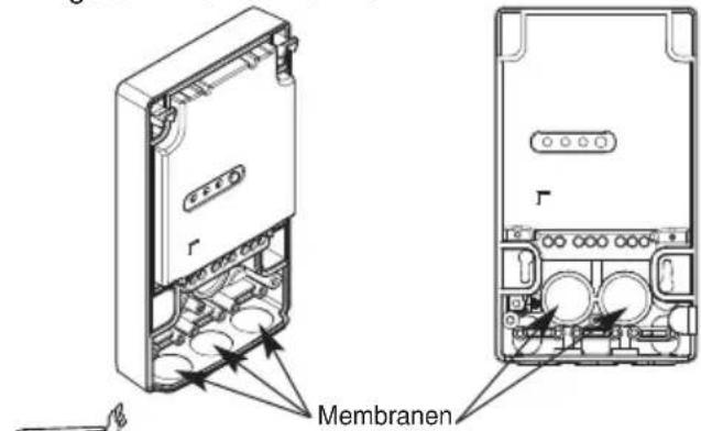 Membranen