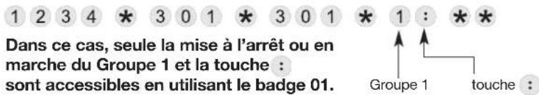 1 2 3 4 * 3 0 1 * 3 0 1 * 1 : * * Dans ce cas, seule la mise à l'arrêt ou en marche du Groupe 1 et la touche : sont accessibles en utilisant le badge 01. Groupe 1 touche :