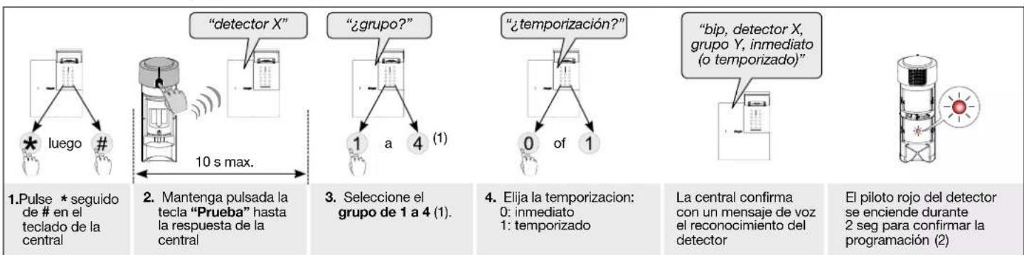 HAGER RLA145X - Programación del reconocimiento del detector por la central - 1
