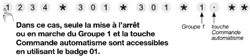 Dans ce cas, seule la mise à l'arrêt ou en marche du Groupe 1 et la touche Commande automatisme sont accessibles en utilisant le badge 01.