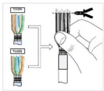 HAGER WDI101 - Inhalt - 1
