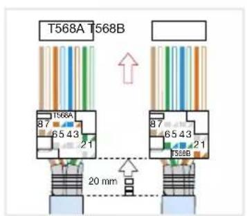 HAGER WDI101 - Installing connector (RJ45) on the network cable (fi gure 11) - 8
