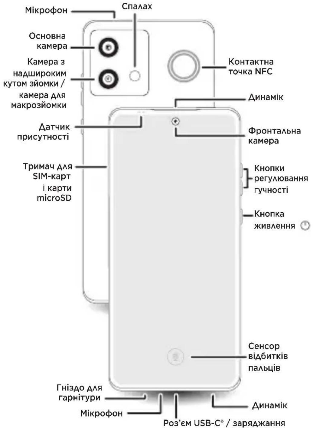Мікрофон Спалах Основна камера Камера з надшироким кутом зйомки / камера для макрозйомки Датчик присутності Тримач для SIM-карт і карти microSD Контактна точка NFC Динамік Фронтальна камера Кнопки регулювання гучності Кнопка живлення Сенсор відбитків пальців Гніздо для гарнітури Мікрофон Динамік Роз'єм USB-C® / заряджання