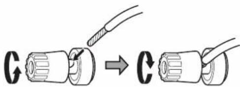 G → C