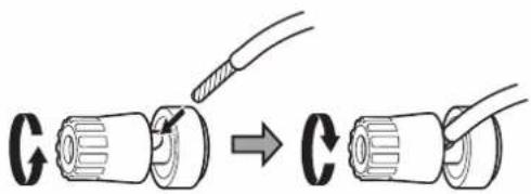 G → C