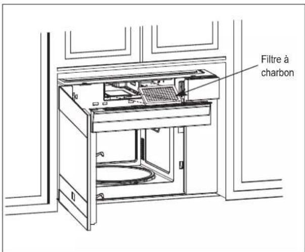 Filtre à charbon