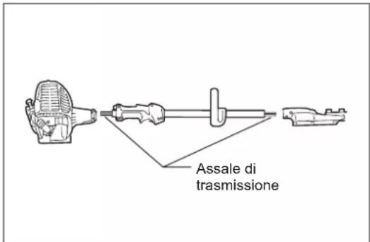 Assale di trasmissione
