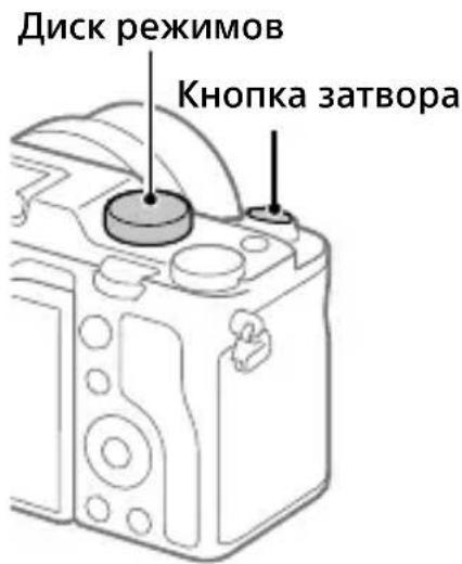 SONY Alpha 7C II - Фотосъемка - 1