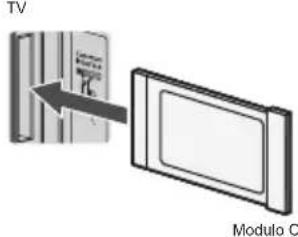 IV Modulo C