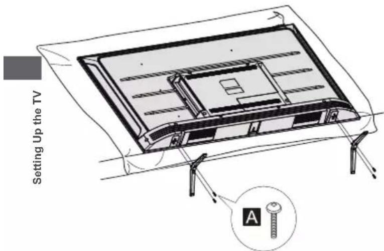 Setting Up the TV A