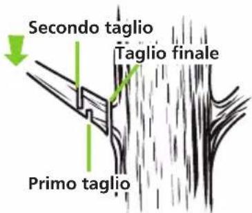 Greencut GS200L - TAGLIO DEI RAMI - 1