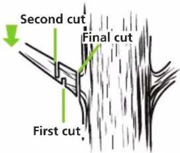 Greencut GS200L - CUTTING BRANCHES - 1