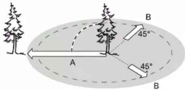 Greencut GS200L - FELLING A TREE - 1