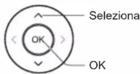 Seleziona OK OK