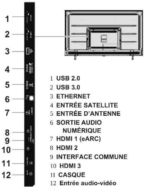 1 USB 2.0 2 USB 3.0 3 ETHERNET 4 ENTRÉE SATELLITE 5 ENTRÉE D'ANTENNE 6 SORTIE AUDIO NUMÉRIQUE 7 HDMI 1 (eARC) 8 HDMI 2 9 INTERFACE COMMUNE 10 HDMI 3 11 CASQUE 12 Entrée audio-vidéo