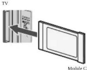 TV Module C