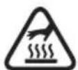 Greencut GS250X-12 - WARNING SYMBOLS - 8