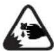 Greencut GS250X-12 - WARNING SYMBOLS - 16