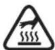 Greencut GS250X-12 - ICONOS DE ADVERTENCIA - 8