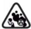 Greencut GS250X-12 - ICONES D'AVERTISSEMENT - 9