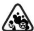 Greencut GS250X-12 - ICONOS DE ADVERTENCIA - 9