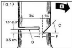 Prowork PBK 35 - GENERAL GUIDELINES FOR FELLING TREES: - 2