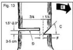 Prowork PBK 35 - ABBATTIMENTO DI UN ALBERO - 6