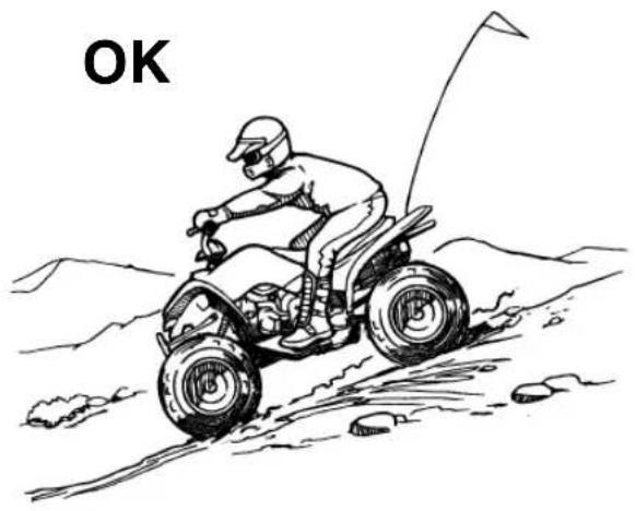 YAMAHA YFM110R (2024) - 8 - 1